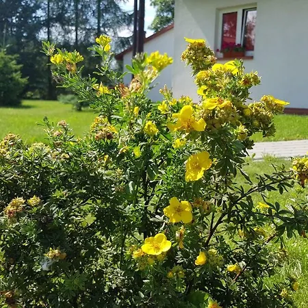 Gosciniec Mazurek Privatunterkunft *